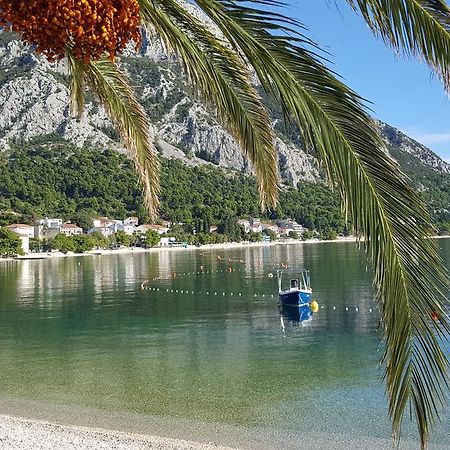 Center Town Apartment Lipa Mala Gradac  Exteriér fotografie